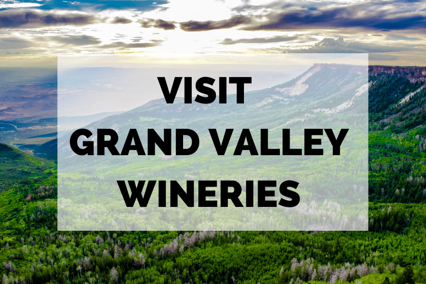 grand valley colorado winery tours