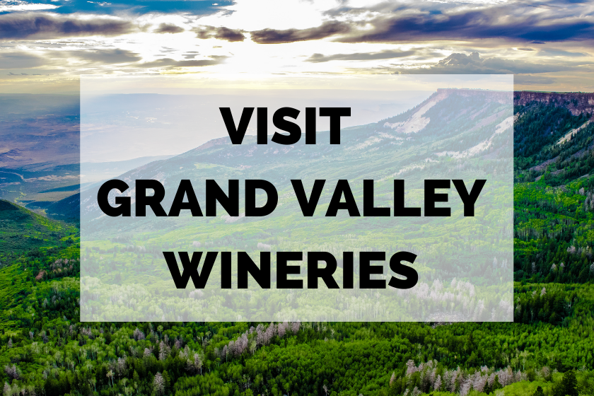 wine tours in colorado