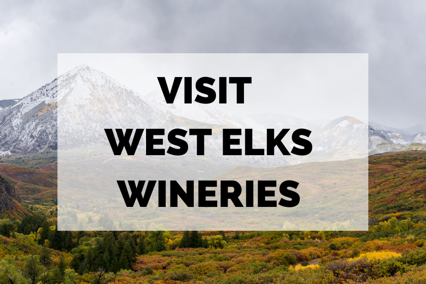 colorado wineries in the west elks region